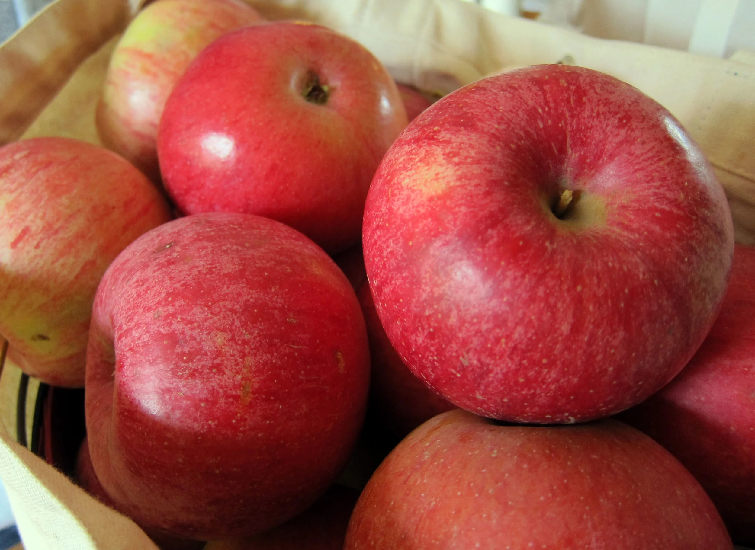 Apples & Pears — Sweetland Orchard